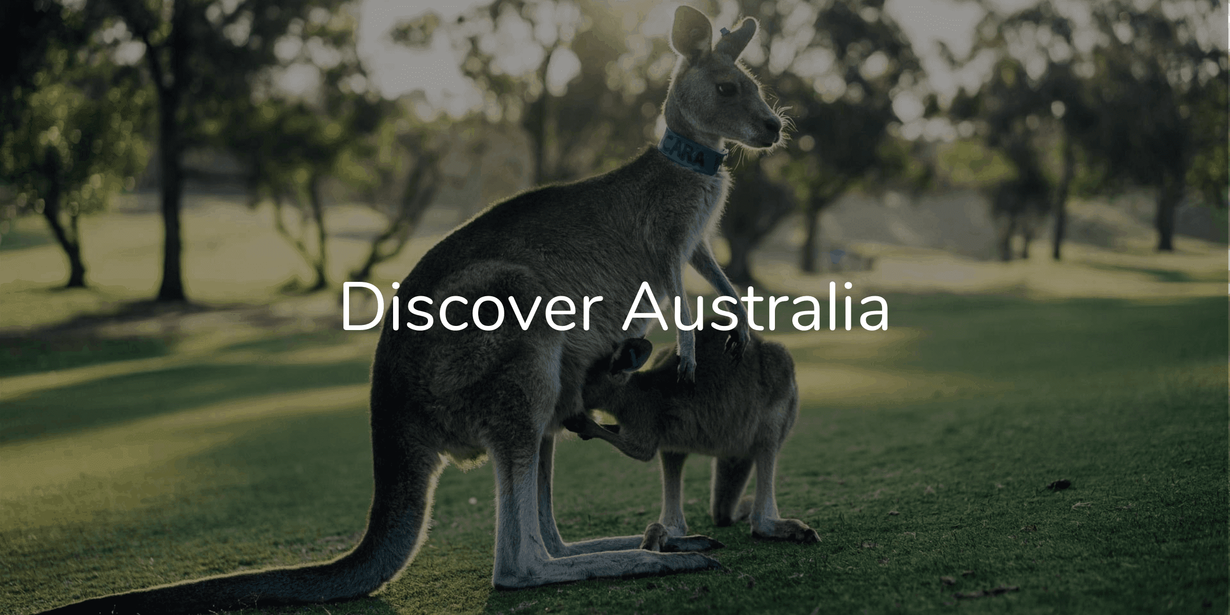 Discover Australia on Sterling Healthcare Resourcing